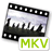 MKV格式转换器